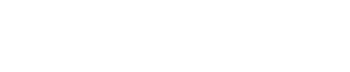 light logo
