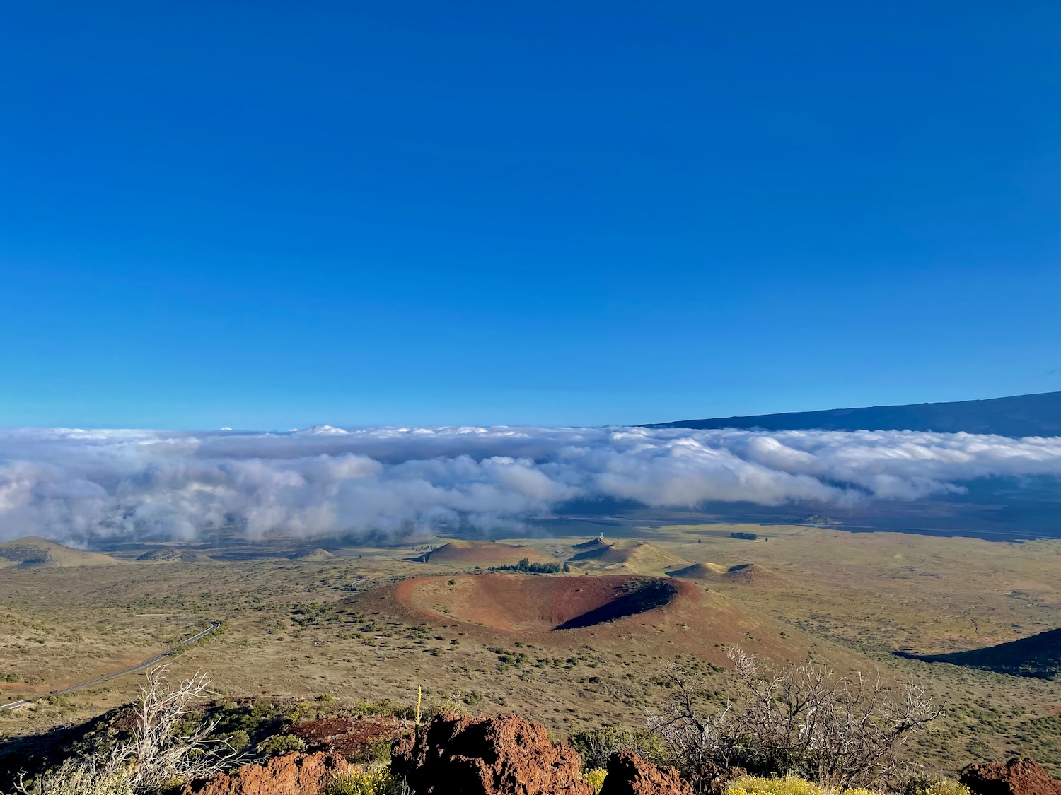 Mauna Kea Forest Reserve