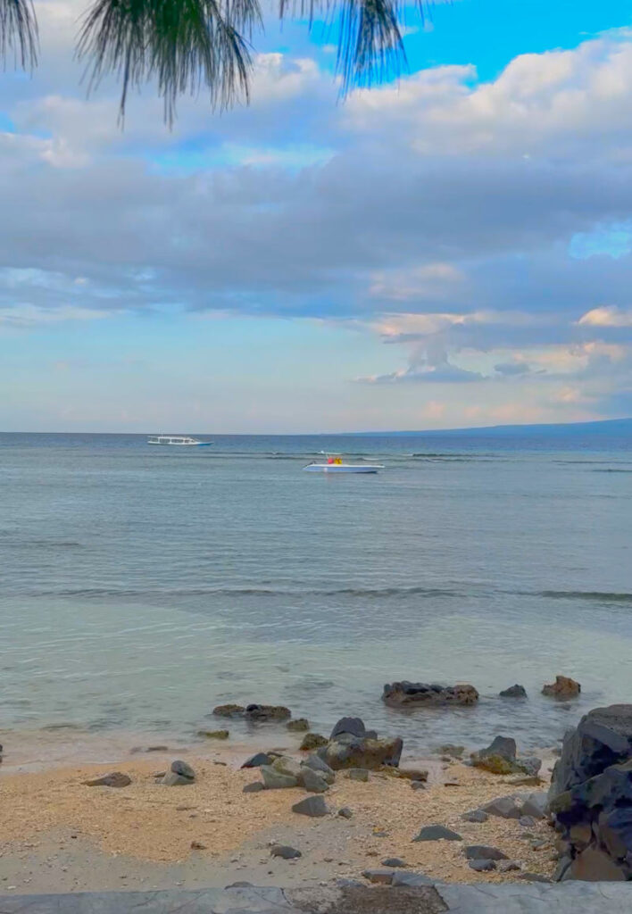 View of Turtle Beach from Turtle Bar & Resto