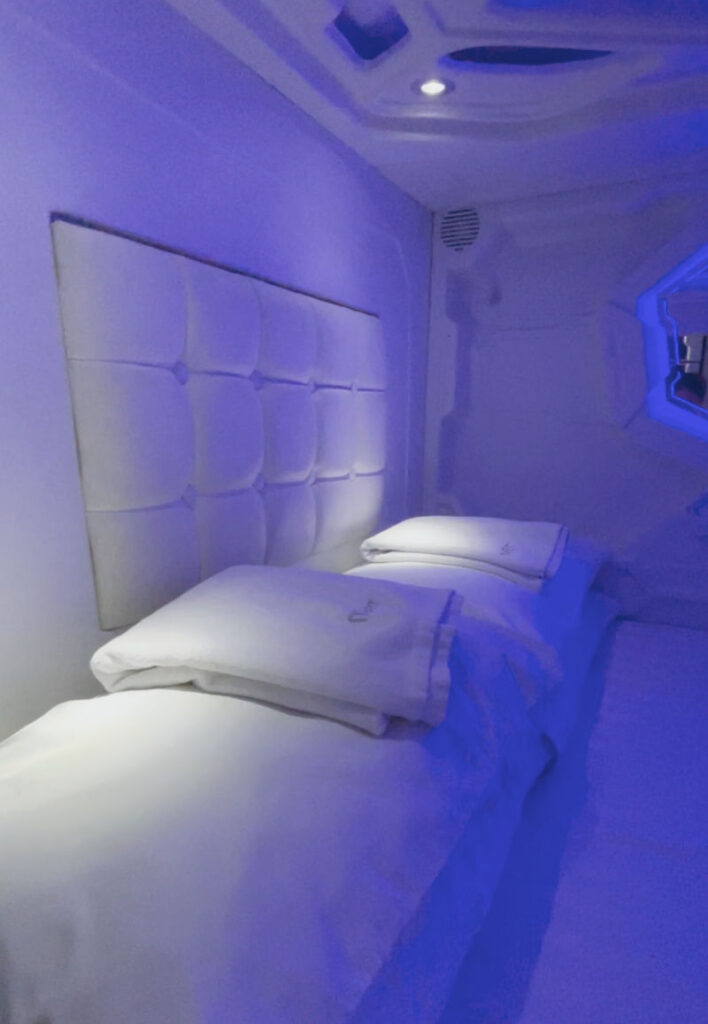 Met A Space Pod Inside Pillows